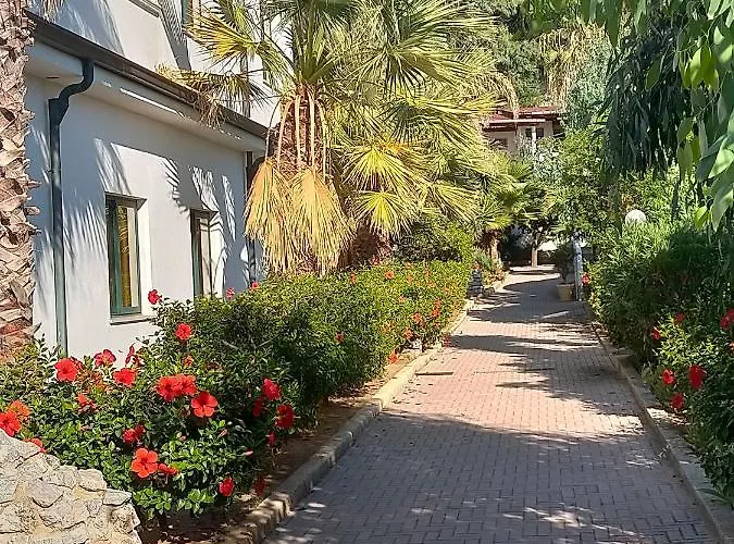 Villaggio Agrumeto Capo Vaticano